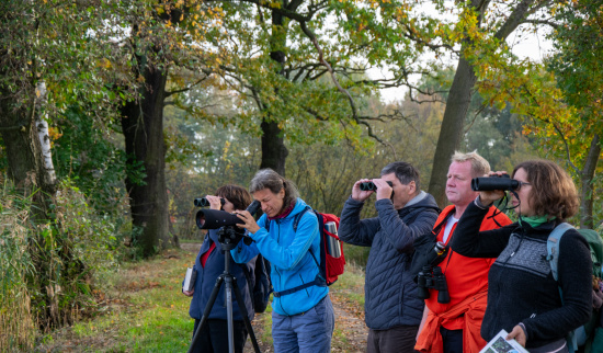 Zugvogelbeobachtung Foto: F. Spissinger